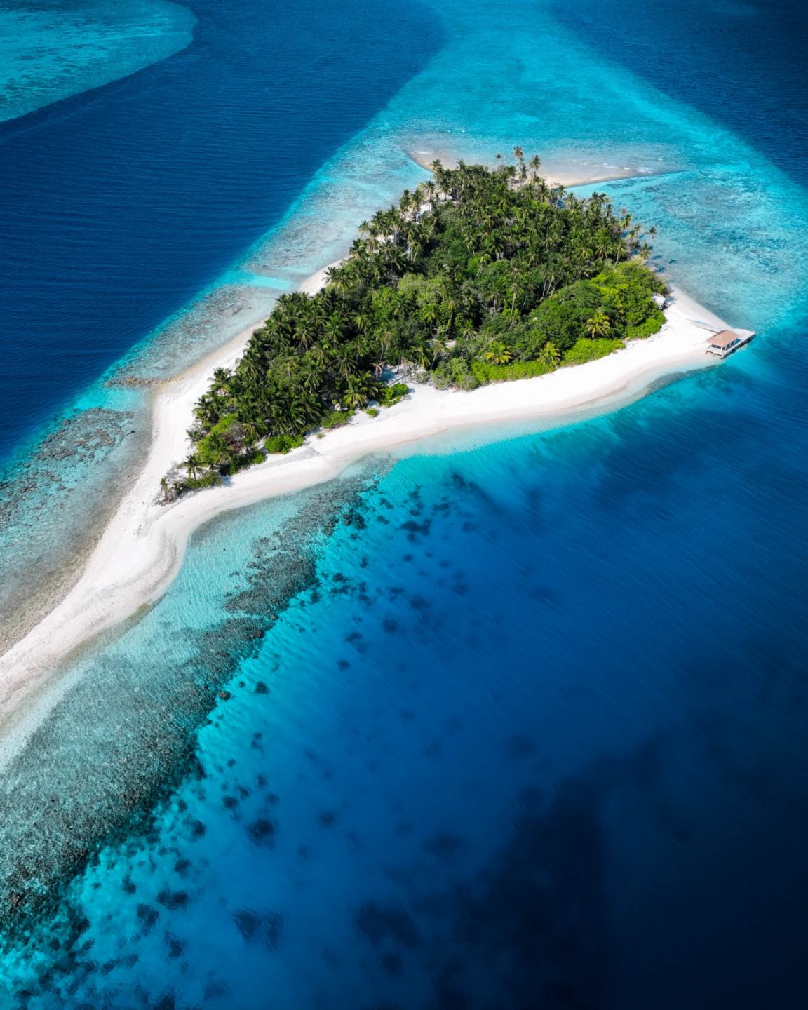 Maldivi - Image 6