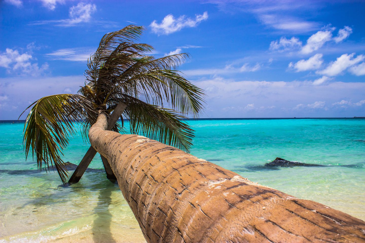 Maldivi