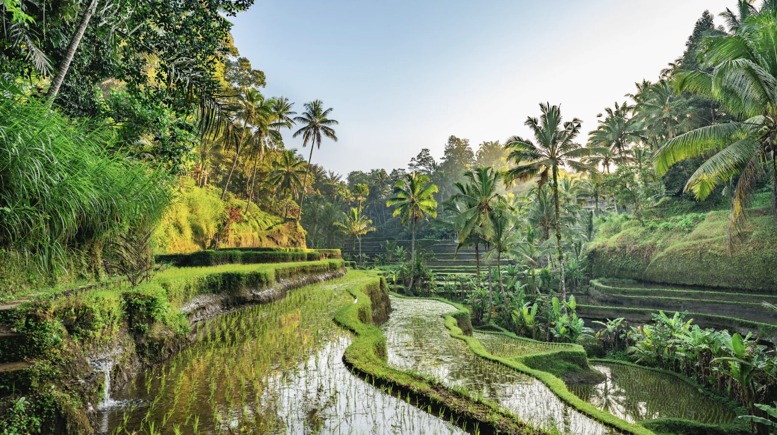 Bali - Image 5