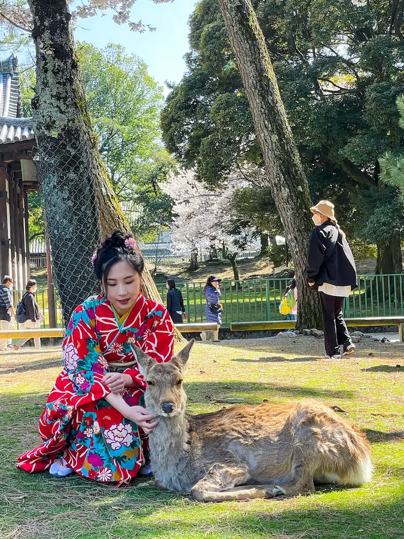 Japan - Image 4